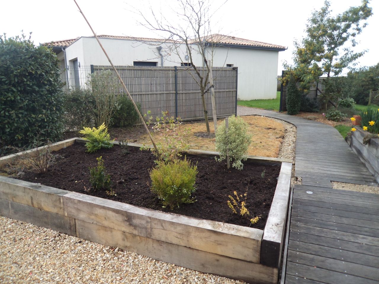 Projet sous nectarinier la pelouse est &agrave; &ocirc;ter pour descendre le niveau