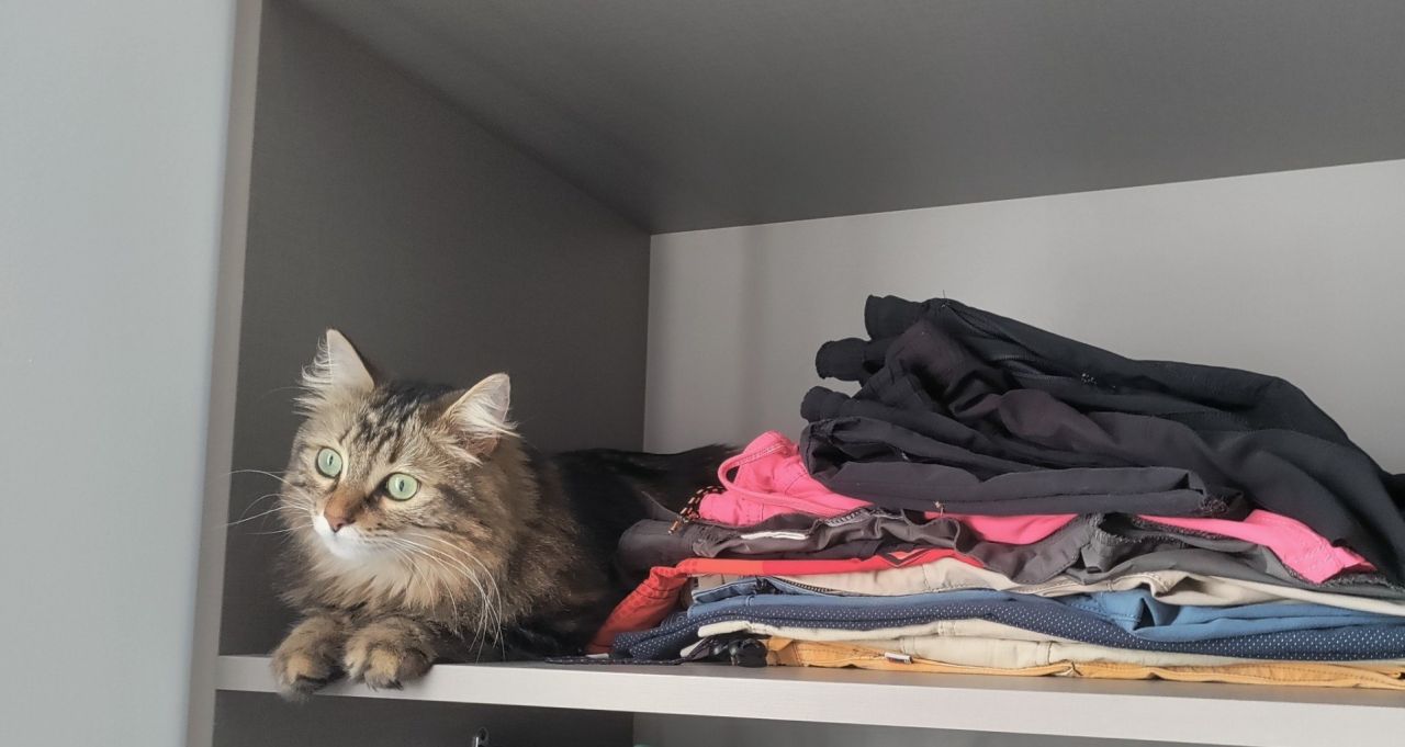 L'autre utilit&eacute; d'un dressing...