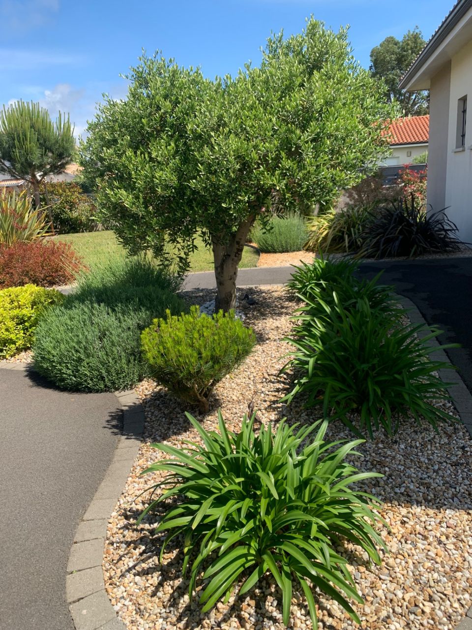 &Eacute;volution du jardin