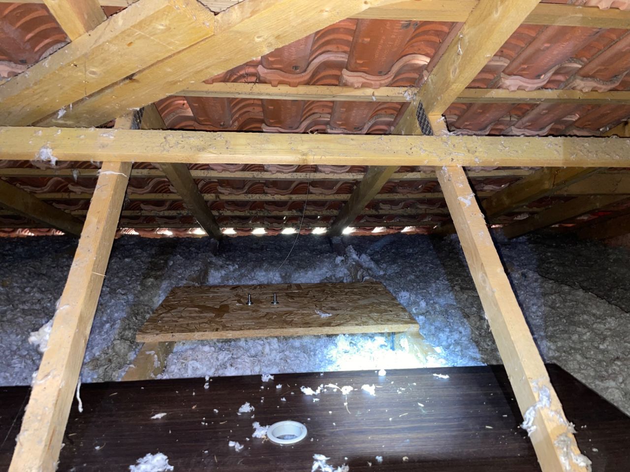 Ventilateur plafond