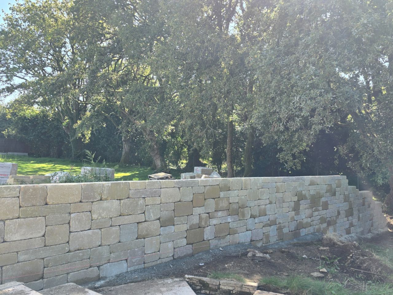 Bi muro birkenmeir