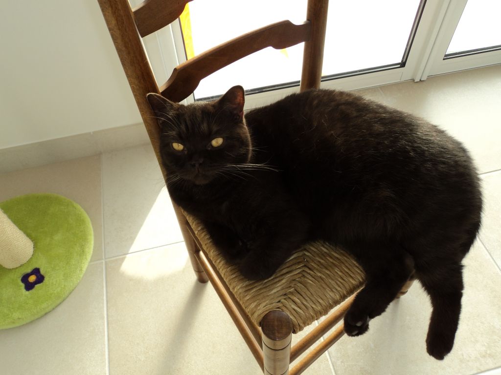 Le maitre des lieux.
