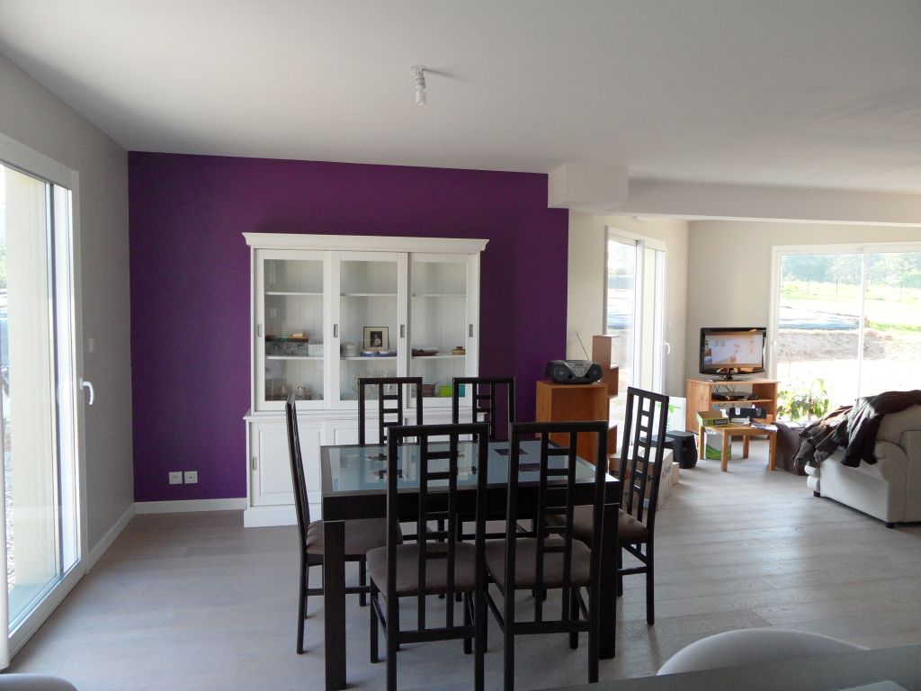 Peinture grise et violet pour salon-séjour & cuisisne... - 6 messages