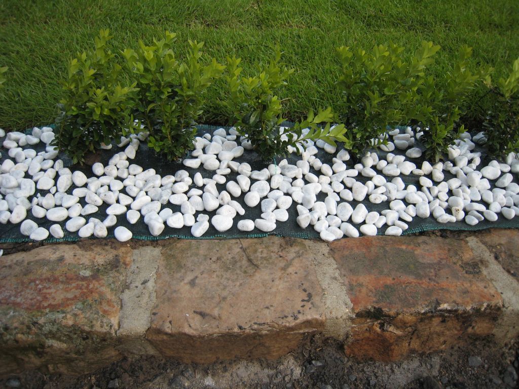 POSE DU TAPIS DE PAILLAGE ET de petits rouls blancs pour viter l'entretien prs des buis