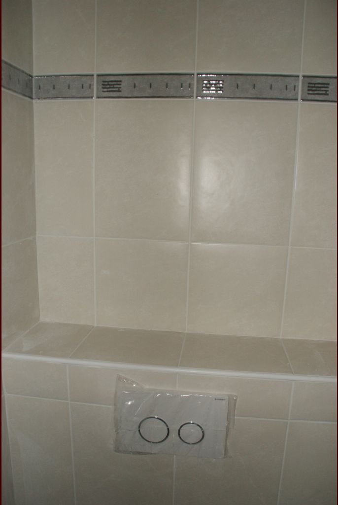 Faïence toilette .... avec un effet d'optique sur la frise que l'on croirait pas droite du tout ... mais en fait si :P