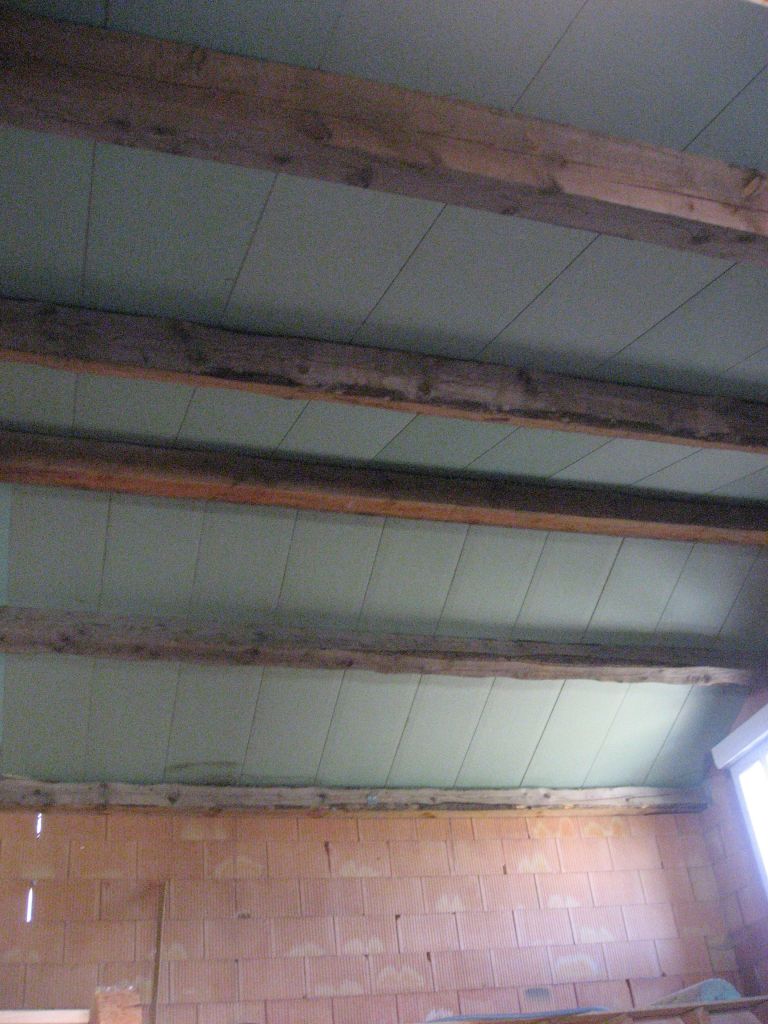 plafond salon/mezzanine