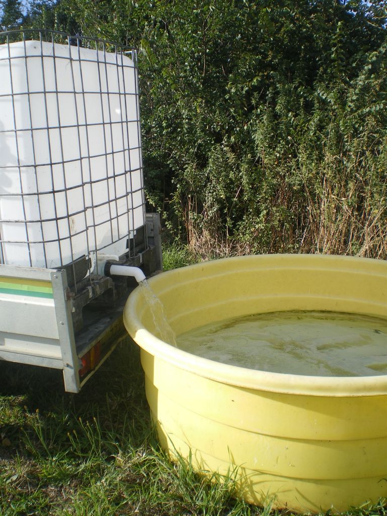 Installation de l'eau sur le terrain en attendant d'avoir l'eau courante...