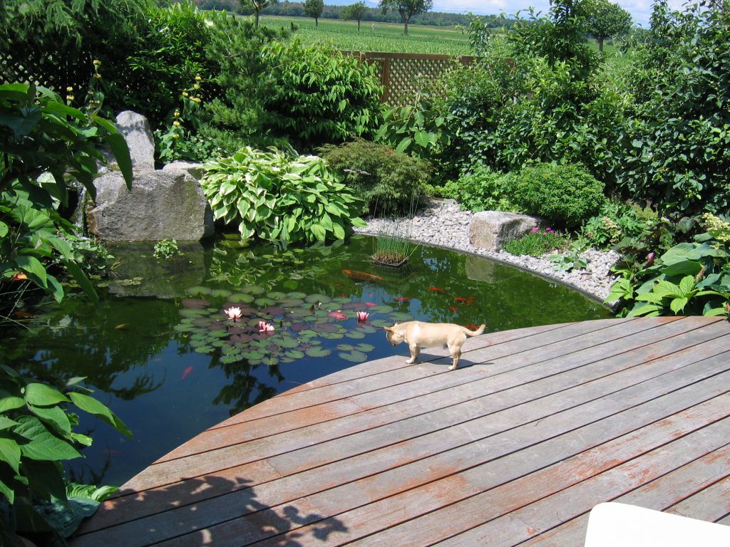 Le jardin de papy et mamy