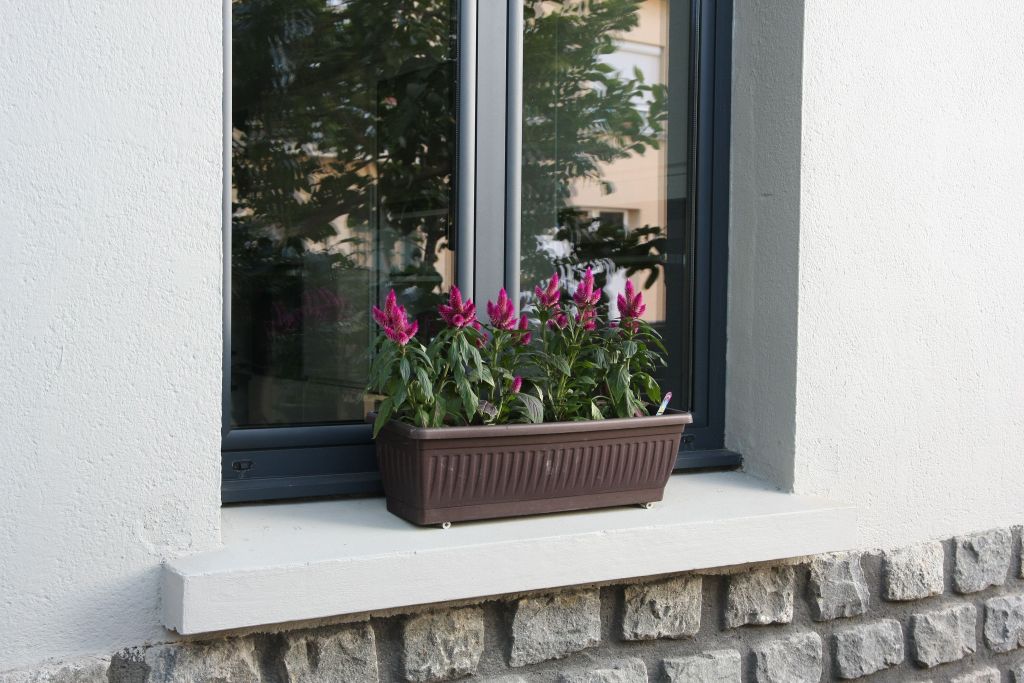 Jardinière sur le rebord de la fenêtre de la cuisine, pour apporter un peu de couleur à l'intérieur.