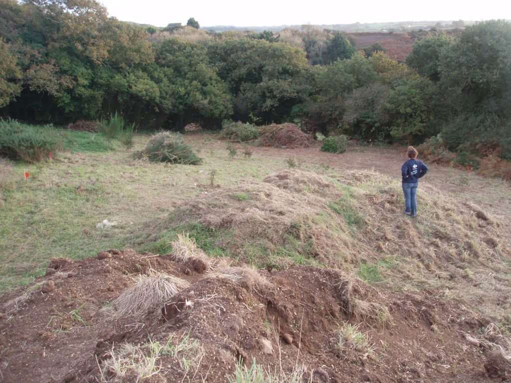 d�frichage du terrain termin�,