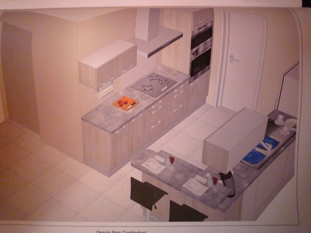 Projet de cuisine, non définitif