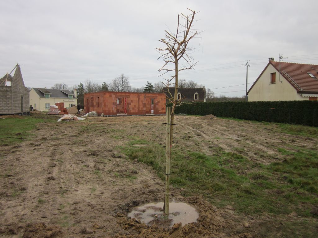 Le nouvel habitant de notre jardin