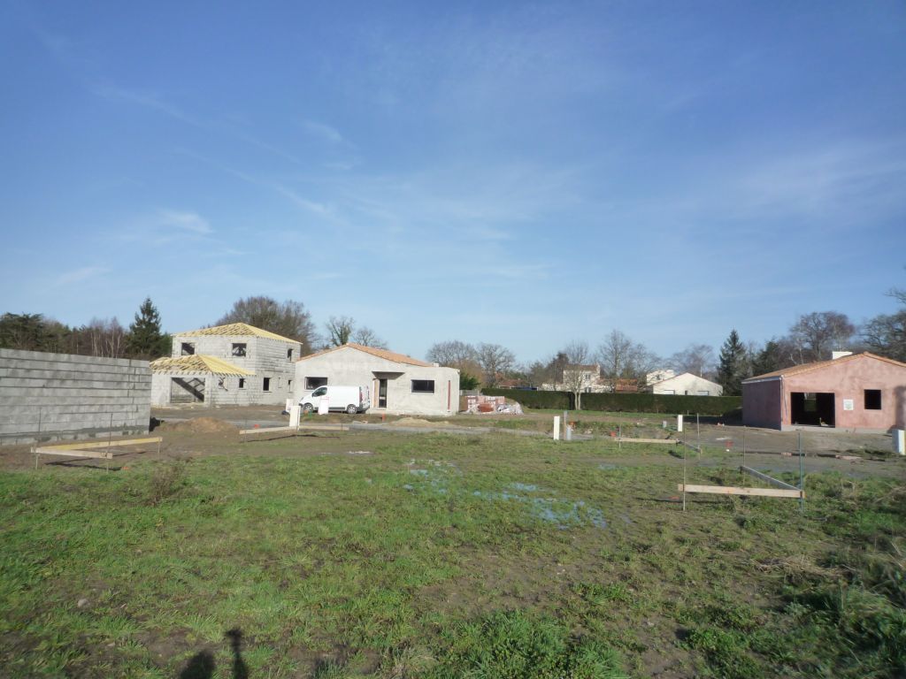 Vue du fond du jardin.
