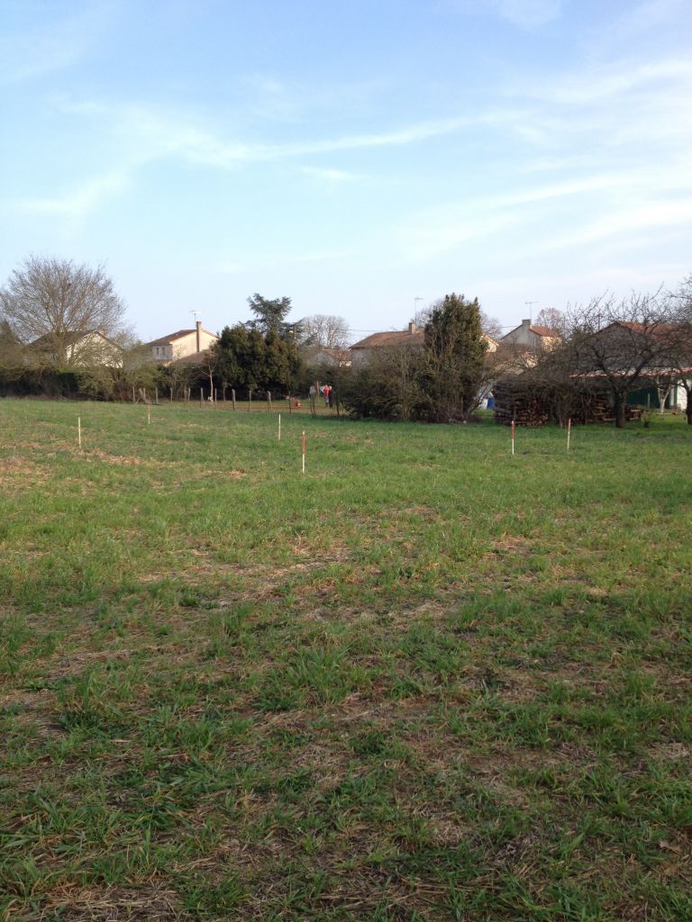 Terrain aprs mise en place des piquets pour bien se rendre compte de l'implantation de la maison avant le vrai dmarrage du chantier.