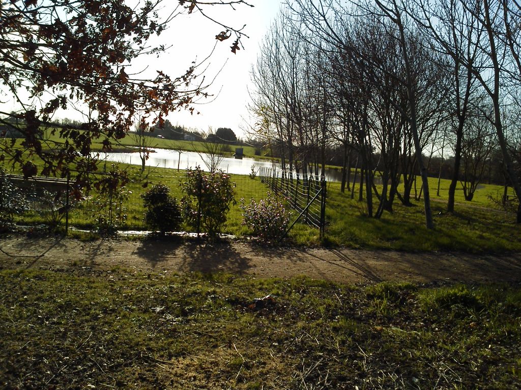 la vue sur notre futur terrasse coter gauche.