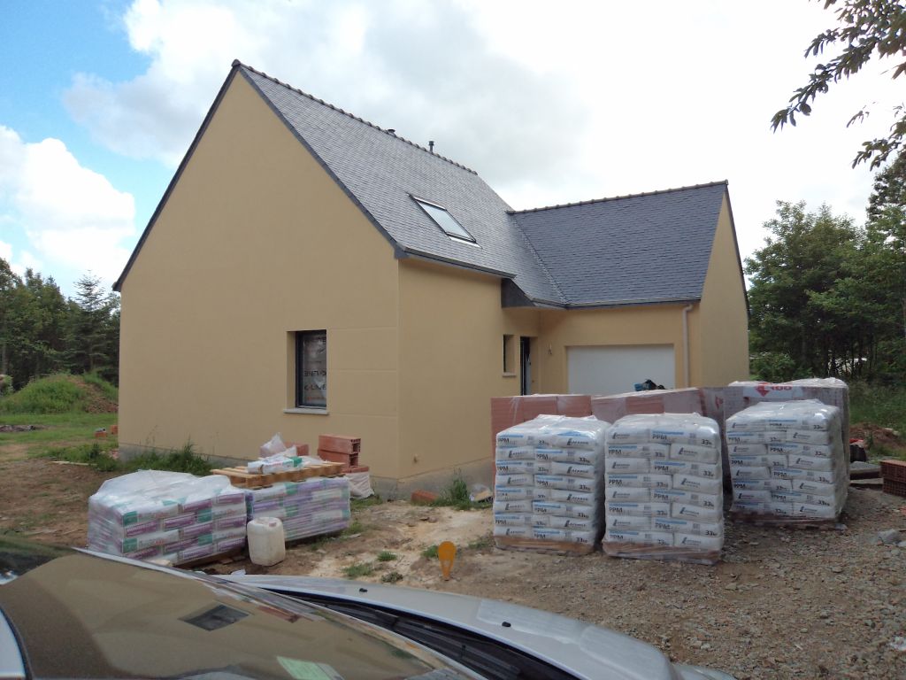 Livraison des briquettes de plâtre !