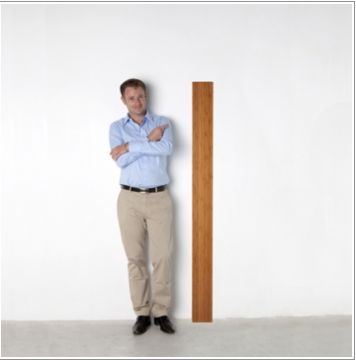 parquet bambou massif