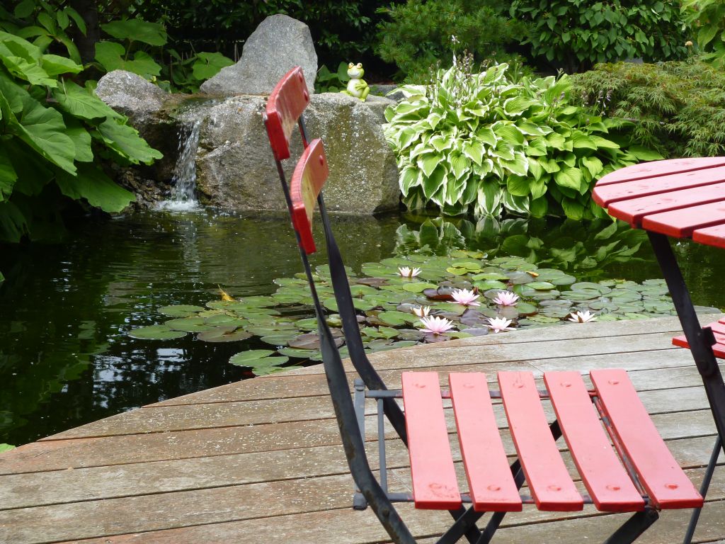 Bassin avec sa fontaine et ses nnuphars en fleurs