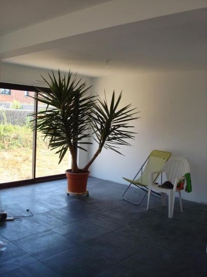 Ma 1ere plante verte de la maison. Un yucca geant achete a un super prix!