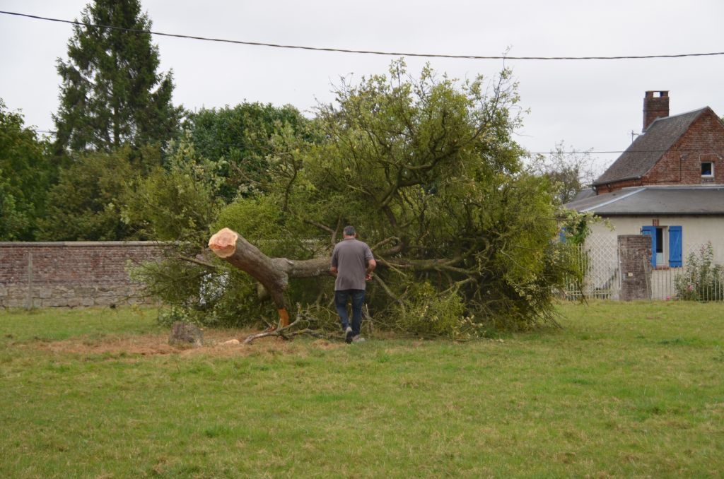 Sitt sign on a prparer le terrain pour le terrassement.