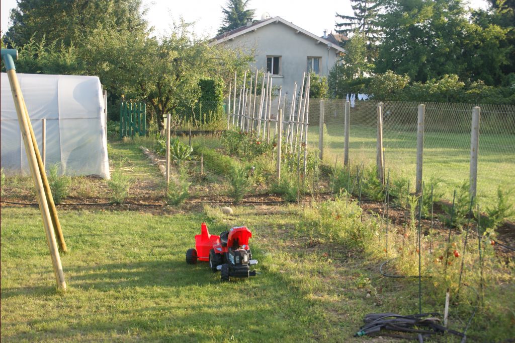 Et voilà les cyprès sont plantés !!!