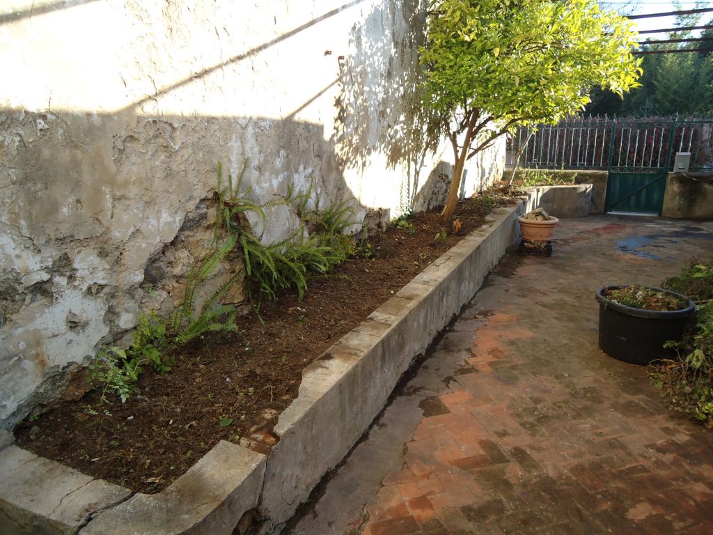 Dbroussaillage du ct gauche de notre terrasse, nous souhaitons y planter que des vgtaux de type mditerranens.