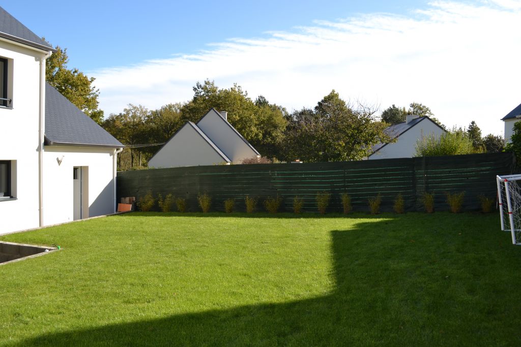04/11/2012 : plantation d'une haie de bambous