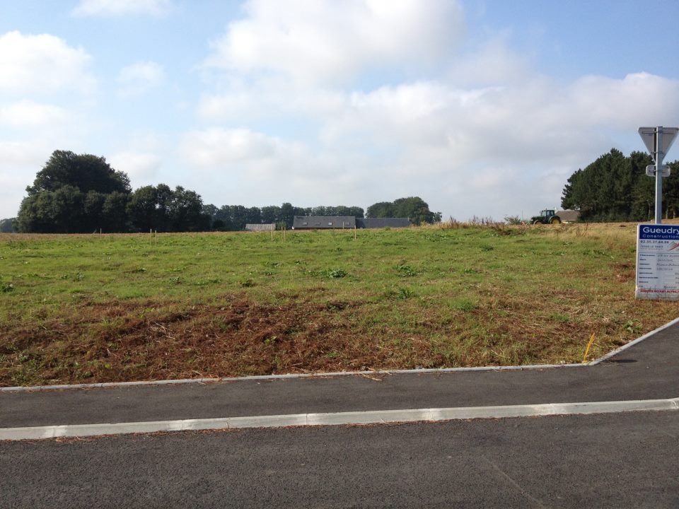 Lundi 3 Septembre 2012 : piquets d'implantation de la maison poss sur le terrain par mr Gueudry