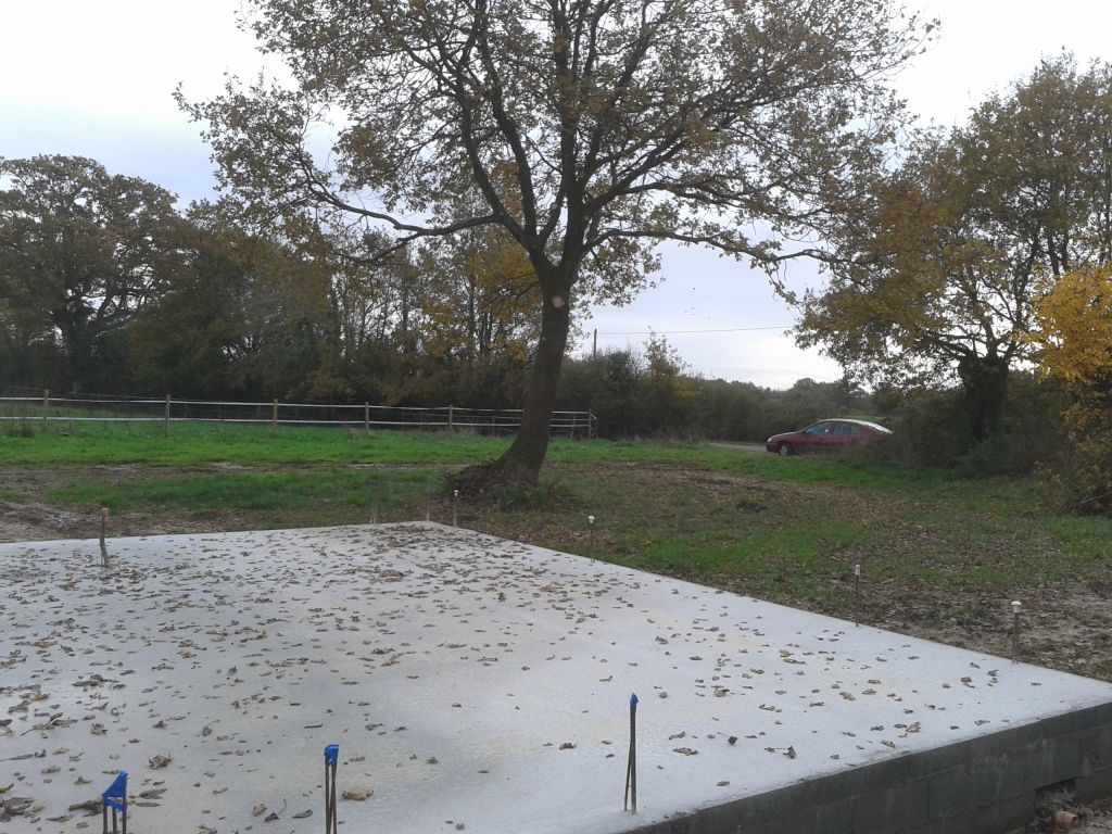 lagage du chne  cot de la futur terrasse (Sud-ouest)