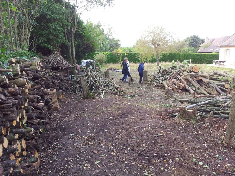 Dbitage des arbres en cours