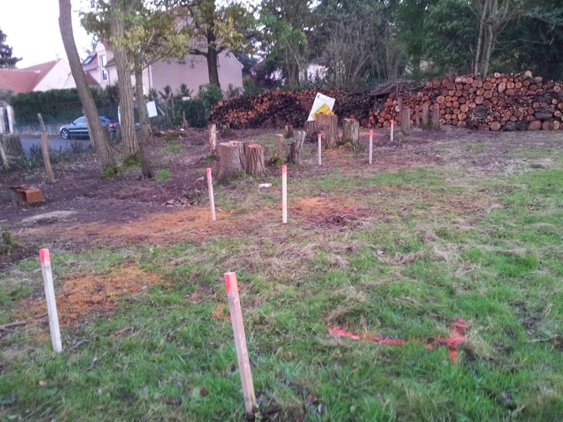 Marquage du terrain par des piquets pour le terrassement