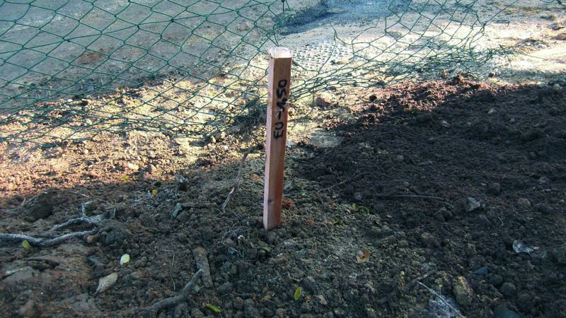 Raccordement  l'eau potable et aux gouts termins