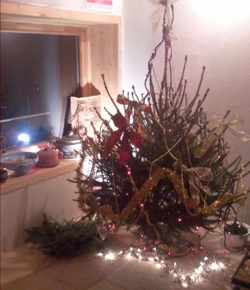 1er sapin