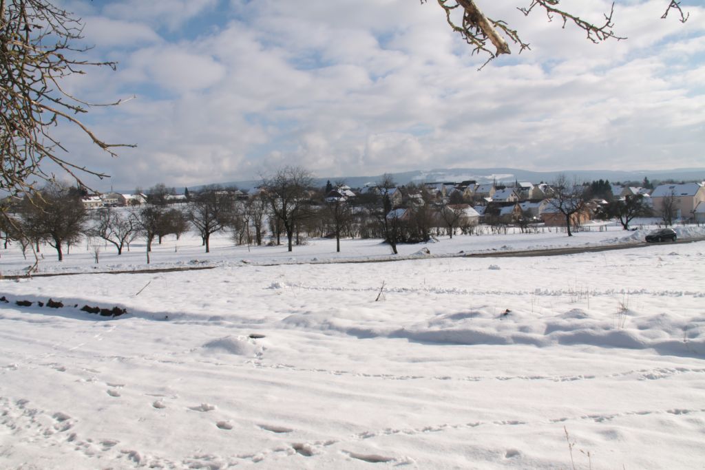 Vue du terrain depuis le chemin d'accs (Sud-Est)