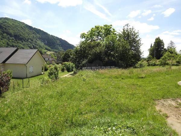 Vue terrain - chemin d'accès