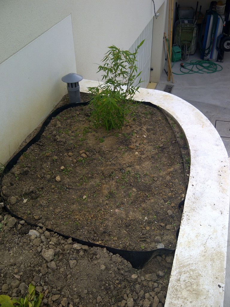 plantation du bambou aprs installation de la barrire anti rhizomes