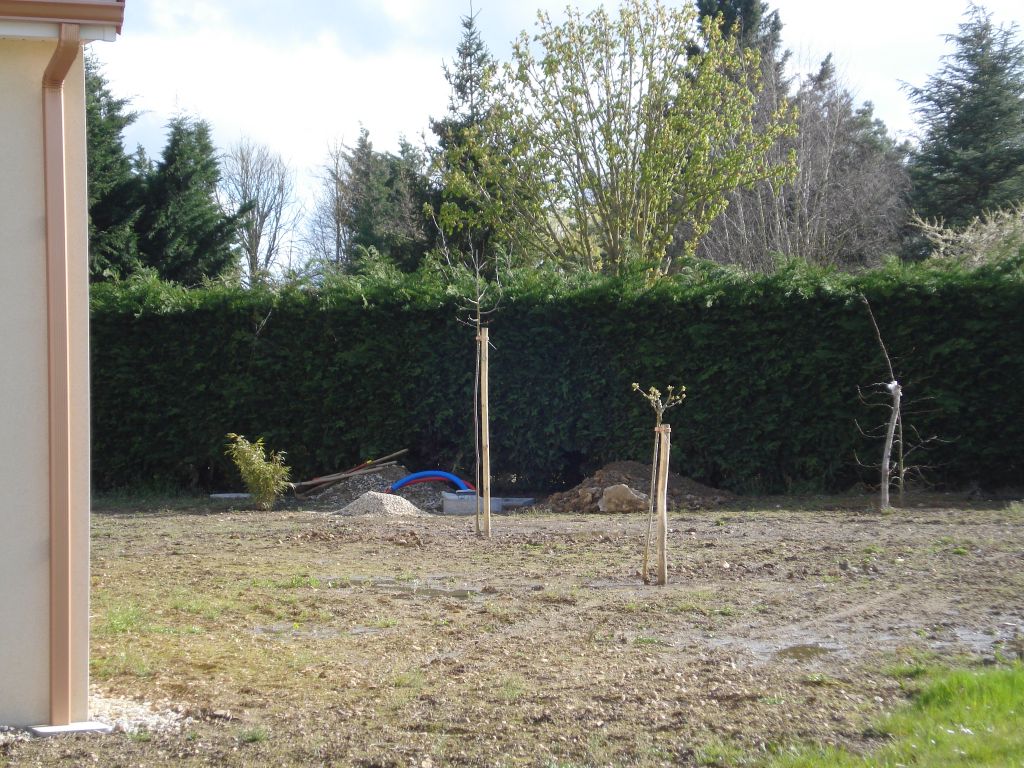 De gauche � droite : 
<br />
- bambou
<br />
-pommier fleur
<br />
-cerisier
<br />
-liquidambar