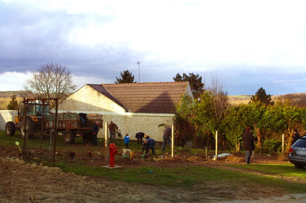 Terrain sans les thuyas