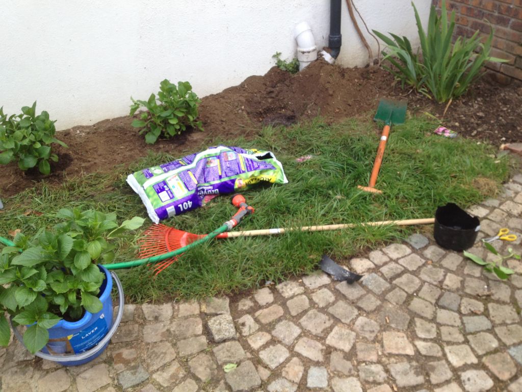 Atelier plantation des hortensias