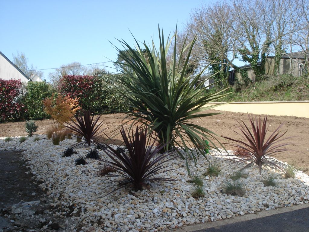 Massif d'entrée : 1 cordyline Cepee, des red star, des kiwi, des graminées bleu, orange, noir