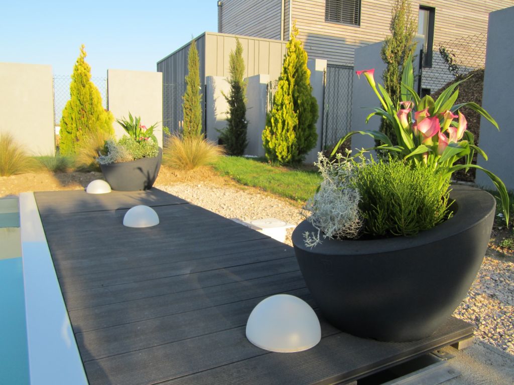 Coupes fleuries en bout de piscine