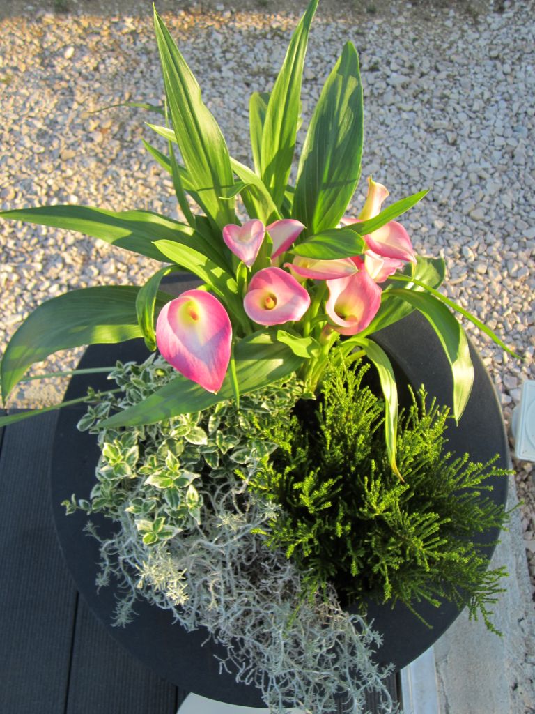 D�tail de la coupe