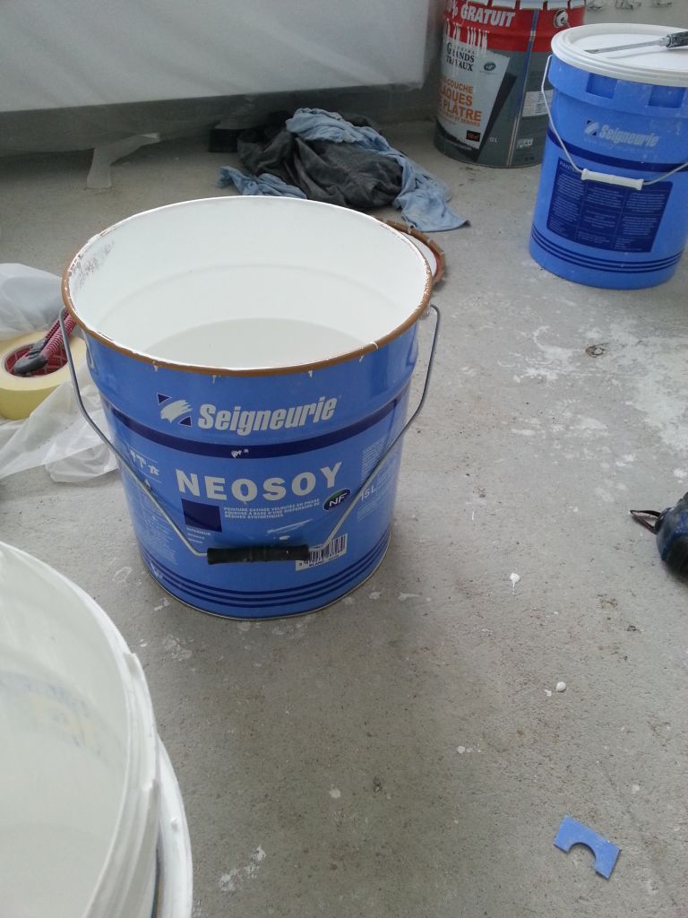 Ces peintures sont vraiment top ! (Seigneurie Pantex900 pour les plafonds et Neosoy pour les murs blancs)