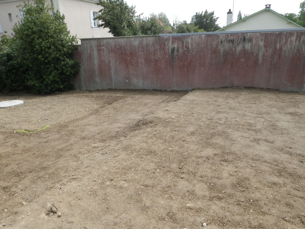 pelouse semée