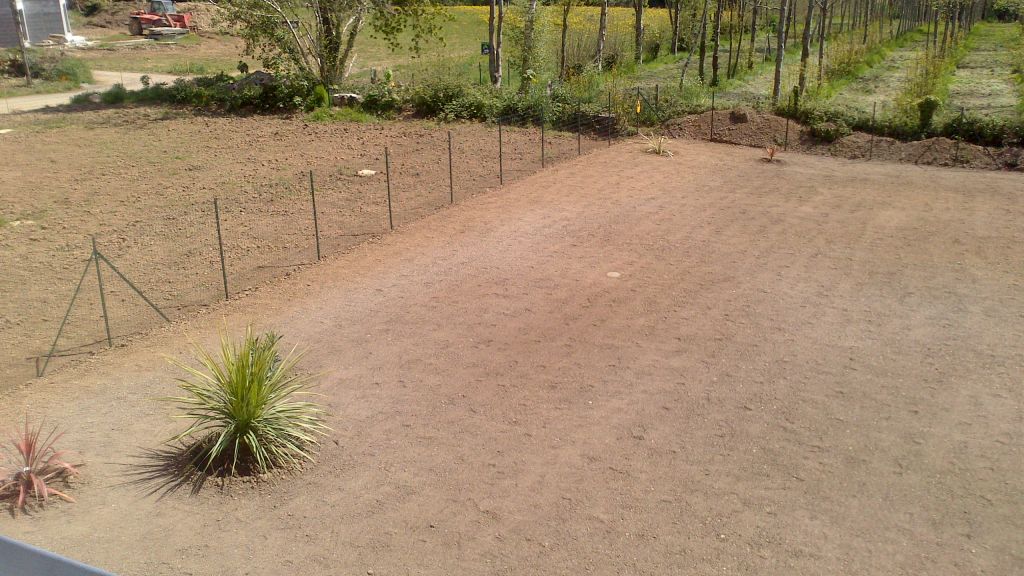 Au fond du jardin, une cordyline et un phormium