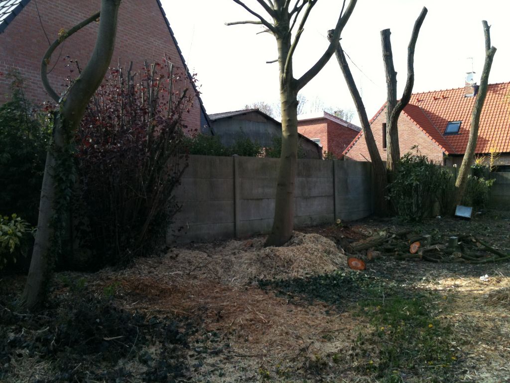 Vivement que a repousse!!!