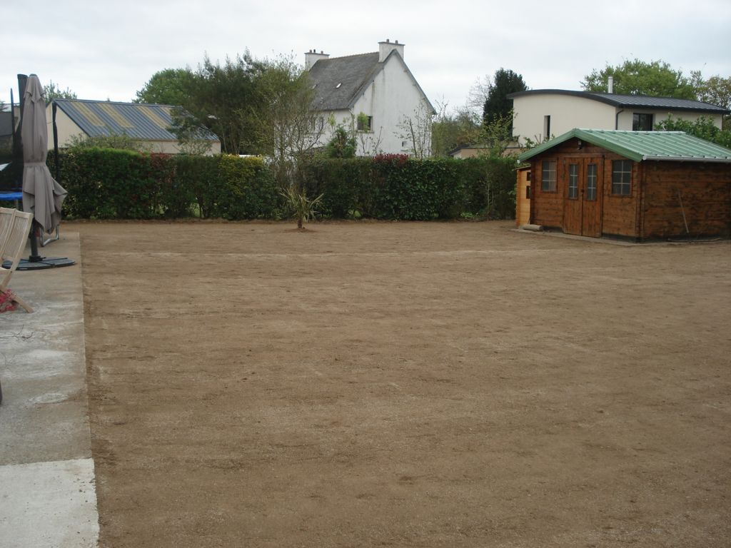 gazon semé