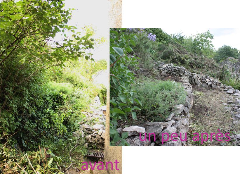 un coté du jardin envahit de lierre et de ronces, j'ai dût remonter le muret en pierre sur la gauche, celui du fond sera repris plus tard.