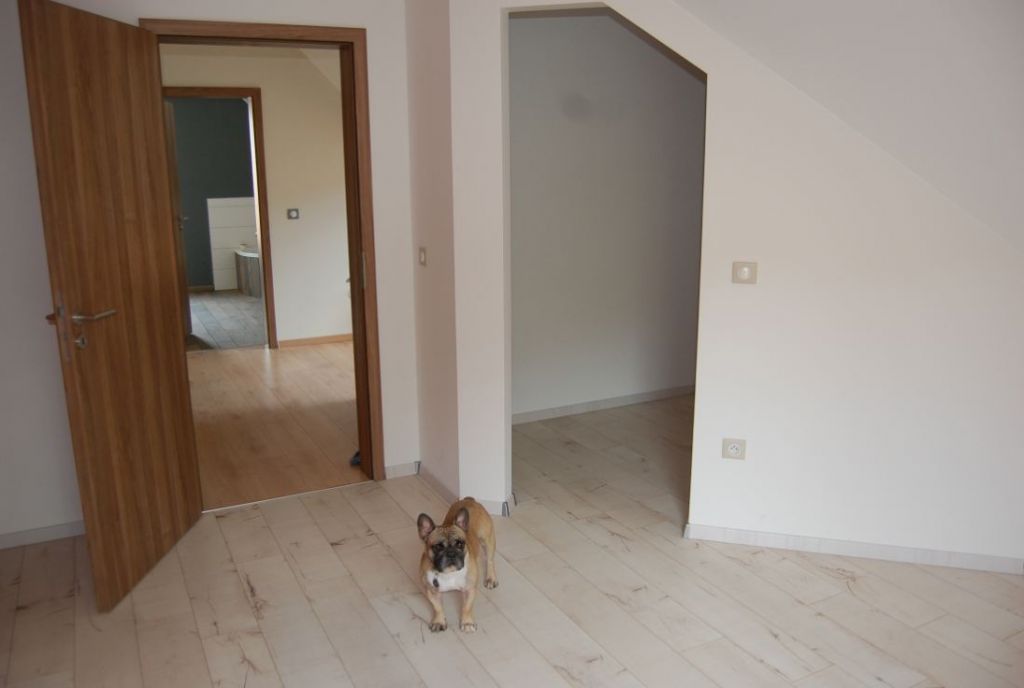 parquet de notre chambre terminé, avec accés au dressing