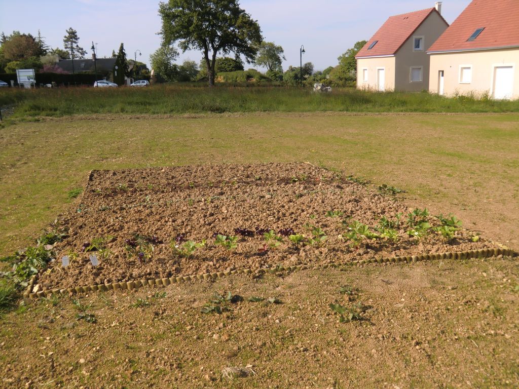 Potager fait... faut attendre que �a pousse !!!
